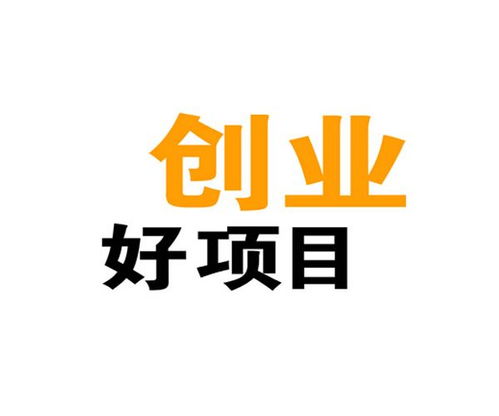 构建可持续发展的互联网法律咨询创业项目 机遇、挑战与策略